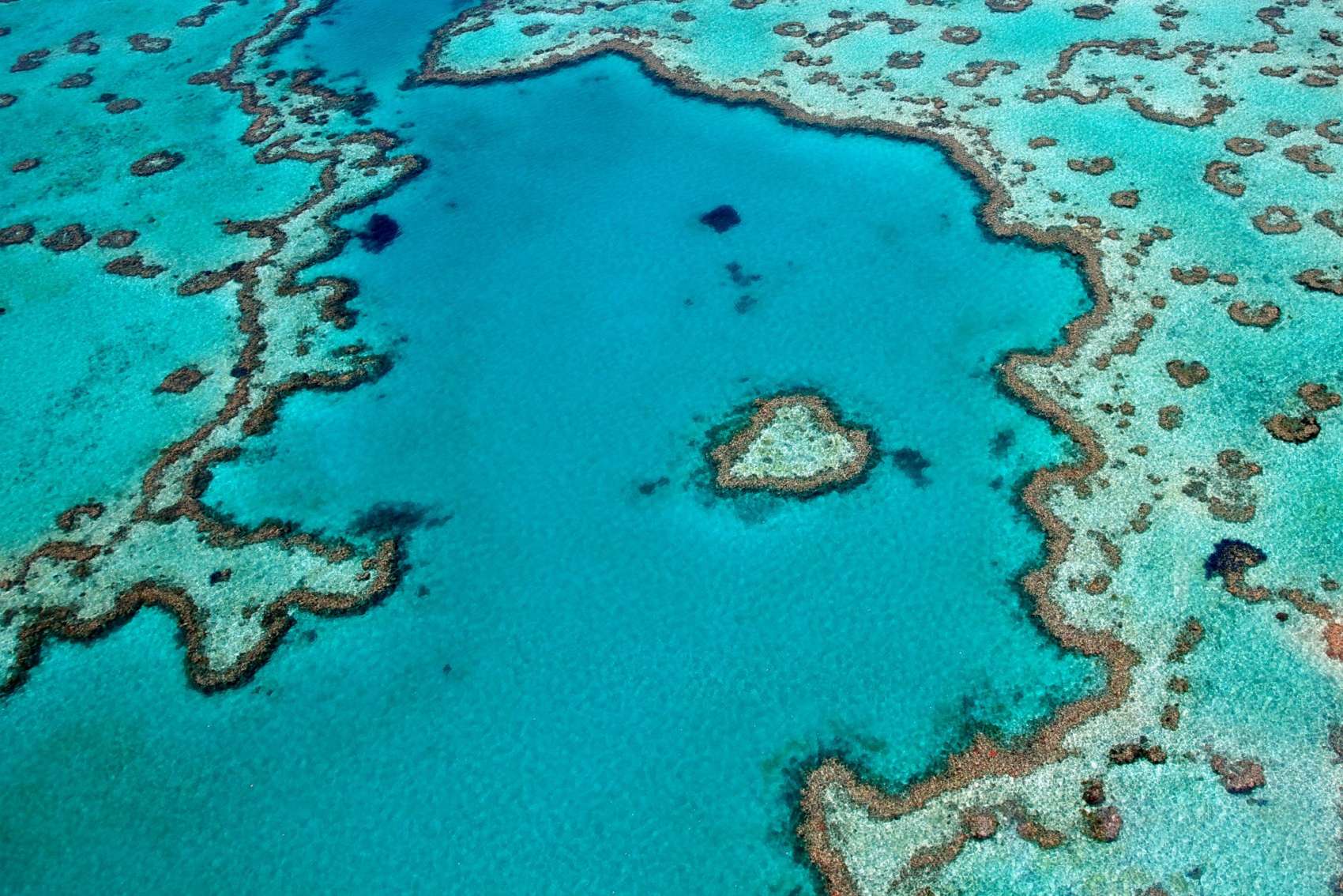 Great Barrier reef heicoptor tours - access it from your new land at Sugarworld Estate