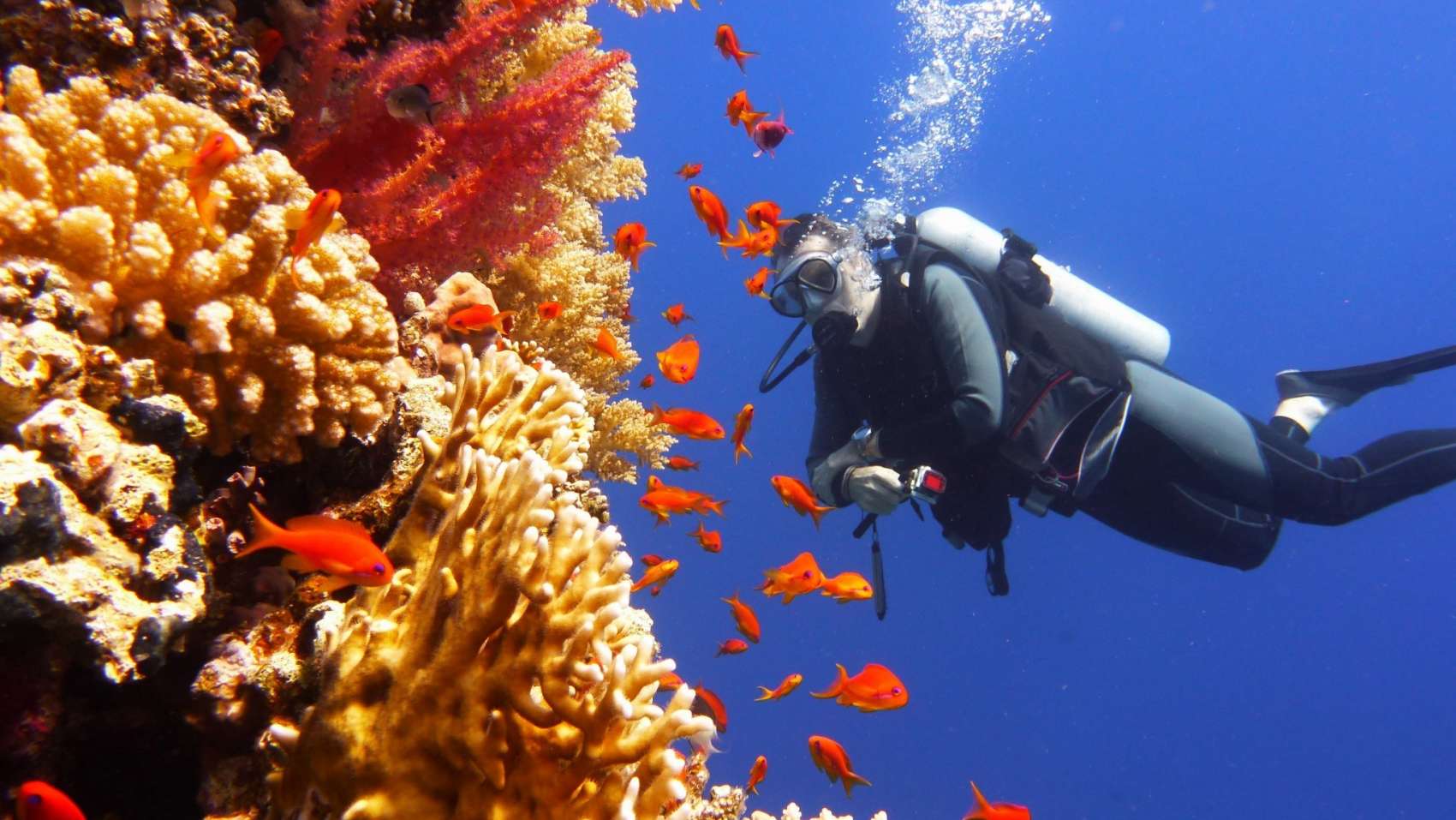 You can enjoy many Great Barrier Reef experiences including snorkelling, scuba diving all within reach of your new home at Sugarworld Estate
